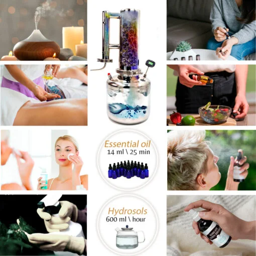 Yield of essential oils